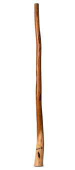 Wix Stix Didgeridoo (WS148)